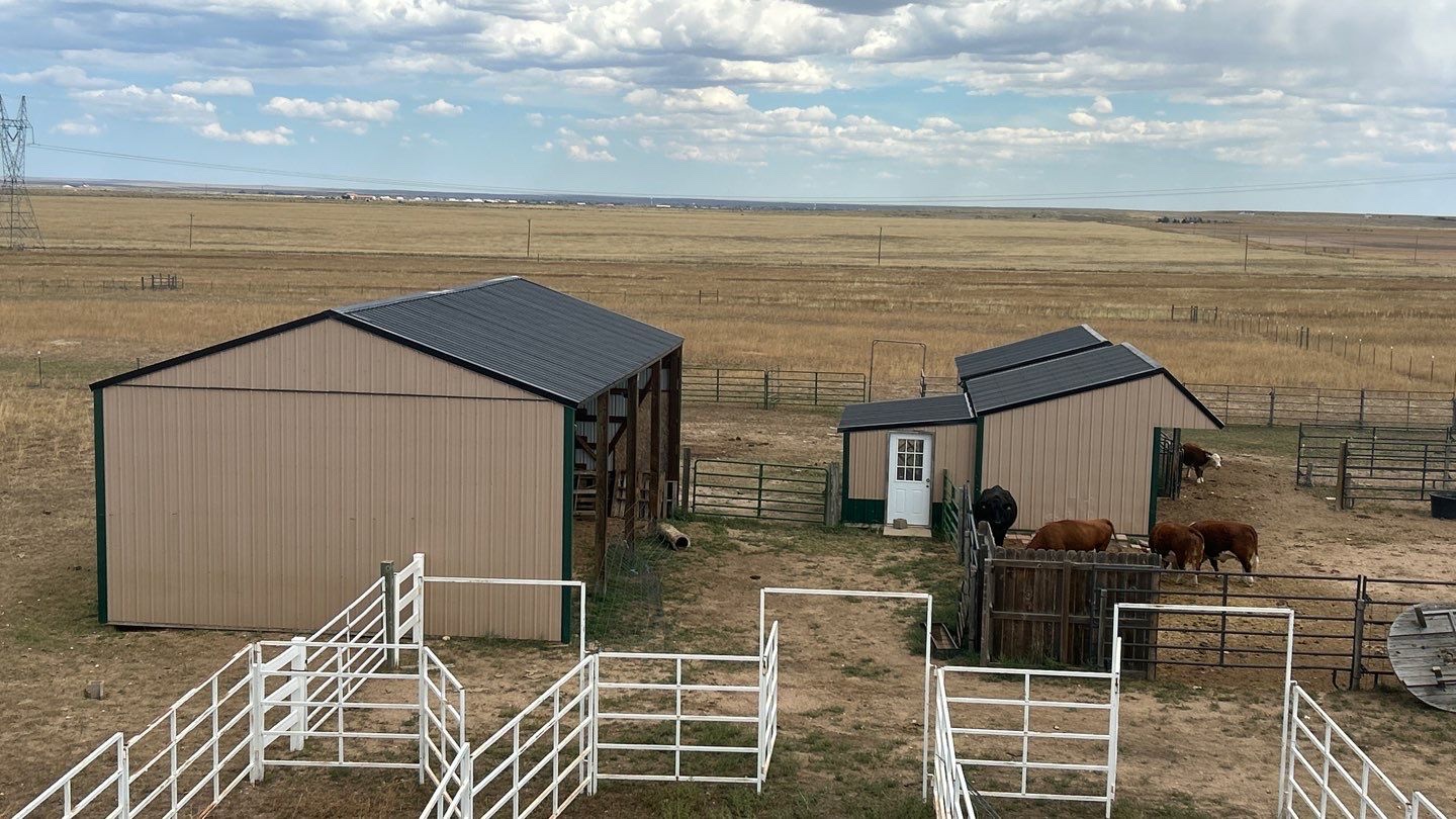 Karen Walston ranch compound with multiple metal-roofed barns, livestock, and corrals